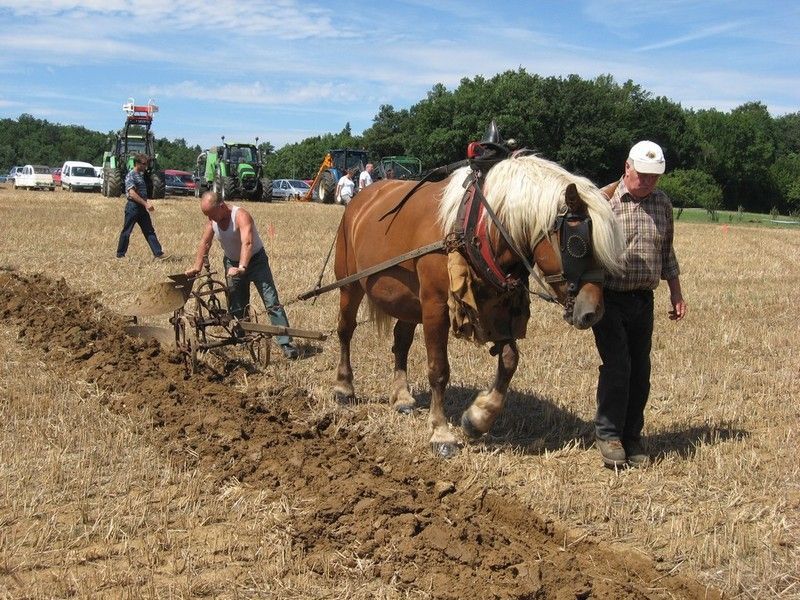 Quizz: L'Agriculture Pour Les Nuls